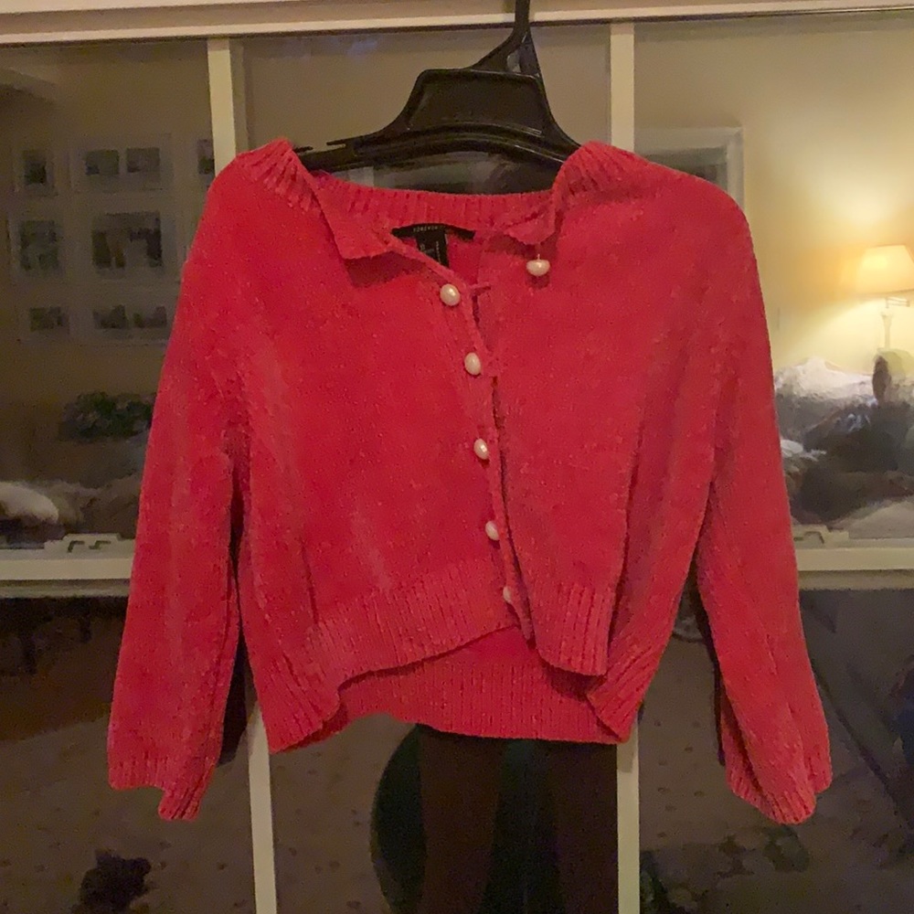 Cropped sweater (name brand)